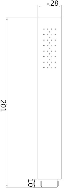 Душевая лейка Aquanet Fashion AF210-81F-S