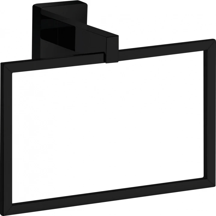 Полотенцедержатель Aquanet 6580MB черный
