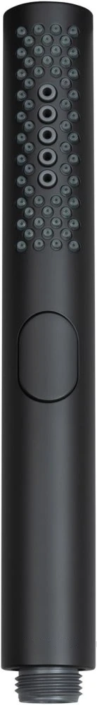 Душевая лейка Allen Brau Priority 5.31A20-31 пластик, черный матовый