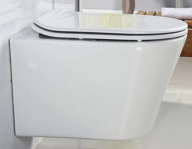 Чаша для унитаза подвесного BelBagno FLAY-R BB506CH