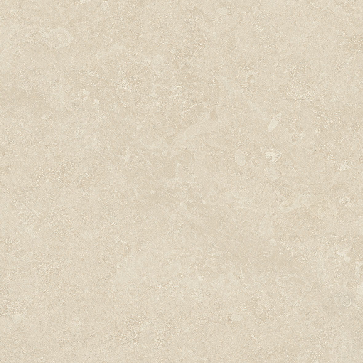 Керамогранит Italon GEN.MOON WHITE RET НАТ 60х60 см 610010001374 серый