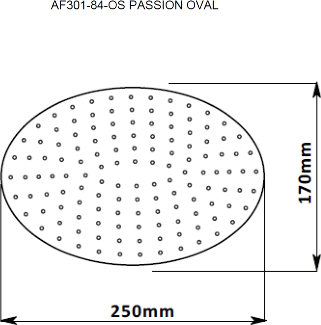 Верхний душ Aquanet Passion AF301-84-OS хром