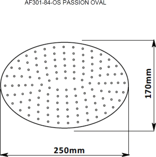 Верхний душ Aquanet Passion AF301-84-OS хром
