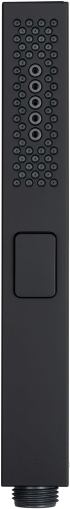 Душевая лейка Allen Brau Infinity 5.21A22-31 пластик, черный матовый