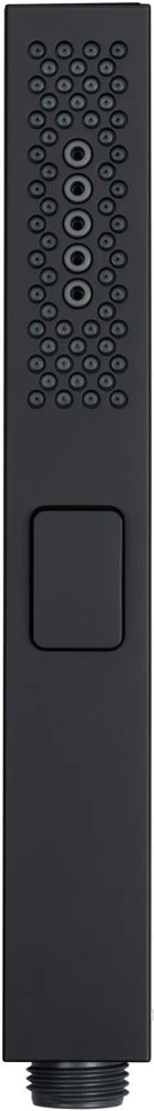 Душевая лейка Allen Brau Infinity 5.21A22-31 пластик, черный матовый