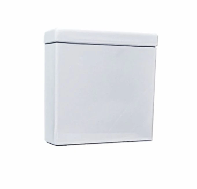 Бачок для унитаза-компакта Bravat New Moon CY2164W-PB-RUS белый