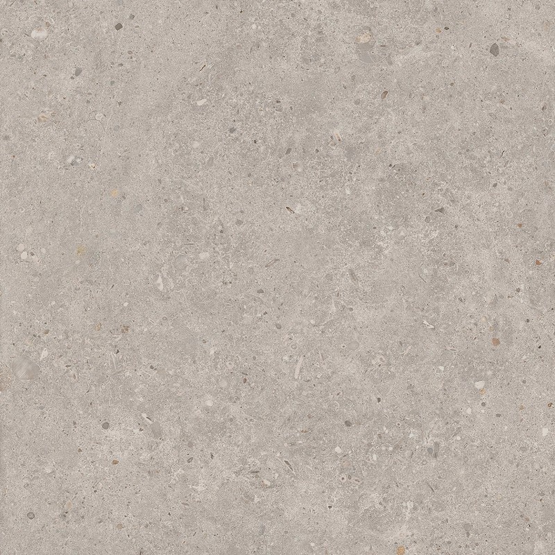 Керамогранит Kerama Marazzi Риккарди 60x60 см серый светлый матовый