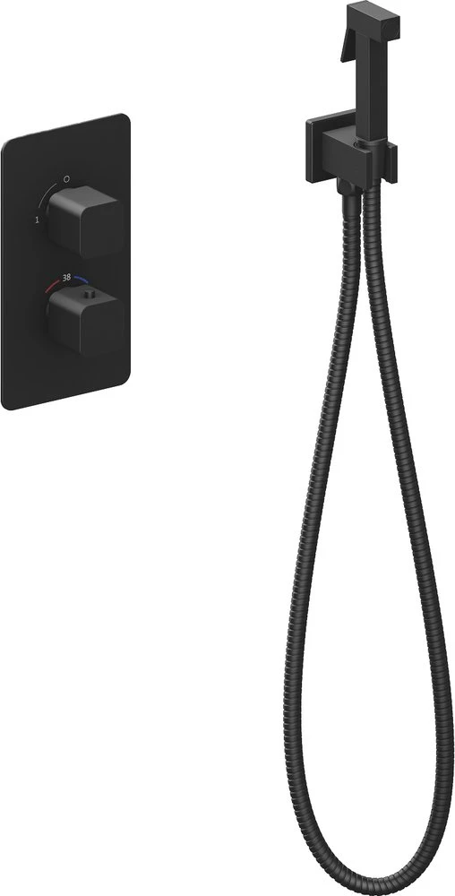 Гигиенический душ Timo Petruma 5089/03SM со смесителем, черный матовый