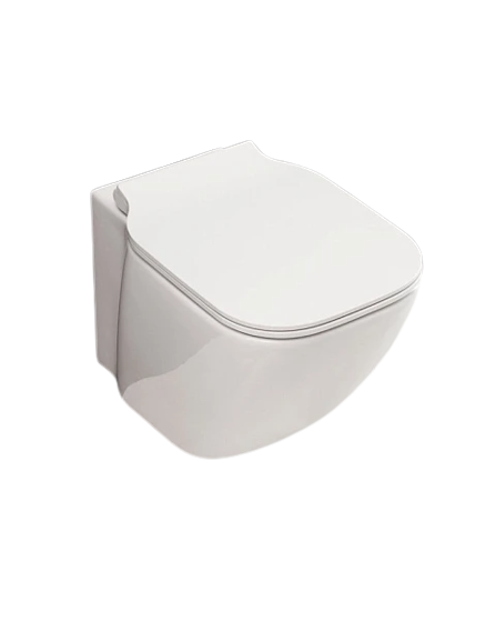 Чаша для унитаза подвесного BelBagno ALDINA BB114CH