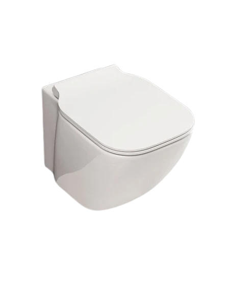 Чаша для унитаза подвесного BelBagno ALDINA BB114CH