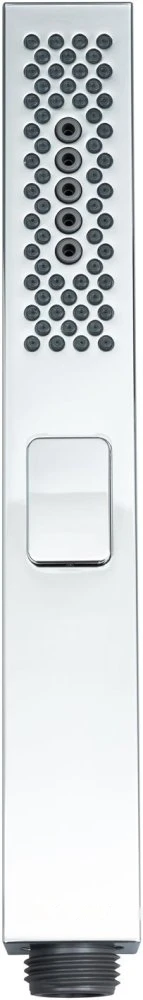 Душевая лейка Allen Brau Infinity 5.21A22-00 пластик, хром