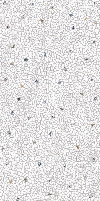 Керамогранит Kerama Marazzi Палладиана 119,5x238,5 см серый светлый декорированный лаппатированный Керамогранит Kerama Marazzi Палладиана 119,5x238,5 см серый светлый декорированный лаппатированный