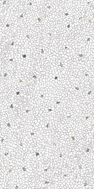 Керамогранит Kerama Marazzi Палладиана 119,5x238,5 см серый светлый декорированный лаппатированный Керамогранит Kerama Marazzi Палладиана 119,5x238,5 см серый светлый декорированный лаппатированный