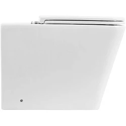Унитаз приставной BelBagno ARDENTE-R BB003CBR