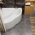 Акриловая ванна Vagnerplast Iris 143x143 VPBA143IRI3X-04 белая глянцевая
