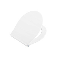Крышка-сиденье BelBagno BB216QSC