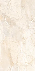 Керамогранит INDIA BRIZILIAN BROWN CARVING 60х120 см IN 4039 бежевый
