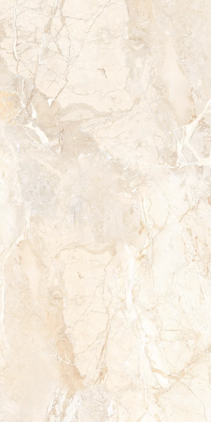 Керамогранит INDIA BRIZILIAN BROWN CARVING 60х120 см IN 4039 бежевый