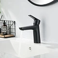Смеситель для раковины Aquatek Бетта AQ1110MB черный матовый