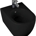 Биде подвесное Allen Brau Reality 4.32008.31 черный матовый