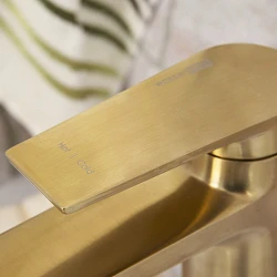 Смеситель для раковины Wasserkraft Aisch 5503H золото