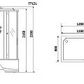 Душевая кабина Niagara Luxe 120x80см NGL-7712G L профиль золото