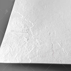 Душевой поддон RGW Stone Tray 80x120см 16152812-01 белый