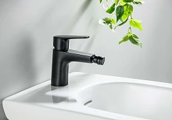 Смеситель для биде Aquatek Бетта AQ1118MB матовый черный