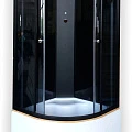 Душевая кабина Golden Frog 100х100см B100В профиль черный