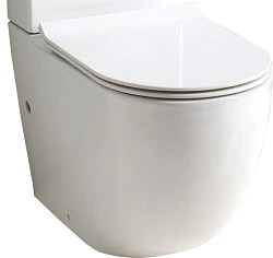 Чаша для унитаза напольного BelBagno Sfera-R BB006CPR