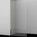 Душевая перегородка Wasserkraft Aisch 100см 55W44 профиль матовое золото, стекло прозрачное