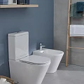 Чаша напольного унитаза Jacob Delafon Rodin+ UJAB102-00