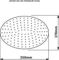 Верхний душ Aquanet Passion AF301-84-OS
