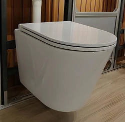 Унитаз подвесной Golden Frog LT053E-UQ белый