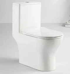 Унитаз-моноблок Golden Frog GF-8618 белый