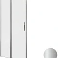 Душевая дверь в нишу Allen Brau Priority 100x200 см 3.31029.BA профиль серебро, стекло прозрачное