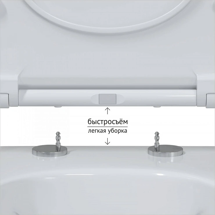 Унитаз подвесной Berges Wasserhaus Ego RR 082111RR белый глянец