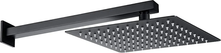 Верхний душ Allen Brau Infinity 5.21019-31 черный матовый