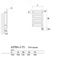 Полотенцесушитель электрический Приоритет ASTRA-3 70x50 см EAS3-75/9005PKTX4MS черный, правый