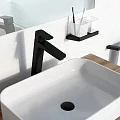 Смеситель для раковины Ravak 10° TD F 015.20 X070151 черный матовый