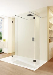 Душевая перегородка Riho SZ Scandic NXT X202 160см G001052121 профиль черный, стекло прозрачное