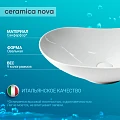 Раковина накладная Ceramica Nova Element CN6015 белая глянцевая