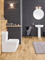 Чаша для унитаза-компакта Grohe Euro Ceramic 39338000
