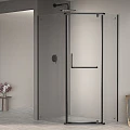 Душевой уголок RGW Passage PA-091B 90x120см 35089192-14 профиль черный, стекло прозрачное