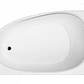 Акриловая ванна AM.PM Sensation 170x110 W30A-170R110W-D белая глянцевая