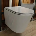 Унитаз подвесной Golden Frog LT053E-UQ белый