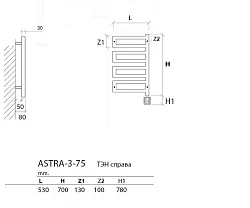Радиатор электрический Приоритет ASTRA-3 EAS3-105 9005LKTX4MS 100x50 черный