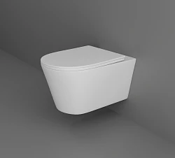 Унитаз подвесной Aquatek Оберон AQ1363W-00 белый