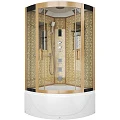 Душевая кабина Niagara Luxe 100x100см NGL-7710G профиль золото
