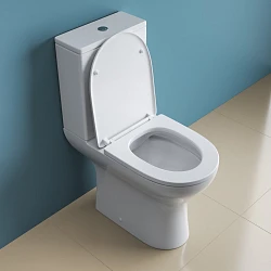 Чаша напольного унитаза BelBagno Lounge BB045CPR
